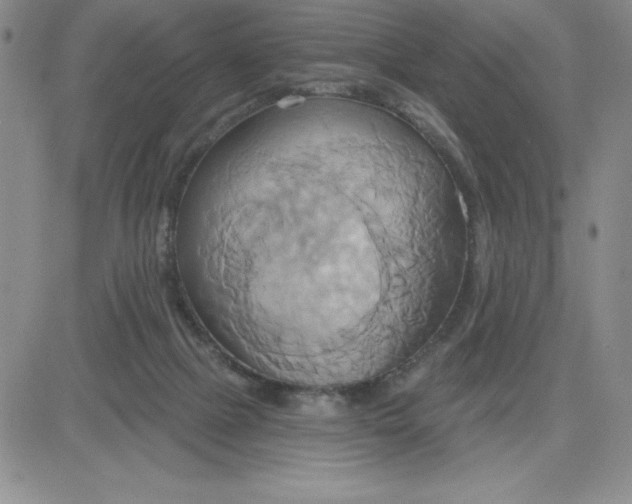 X0000081300073200701251728