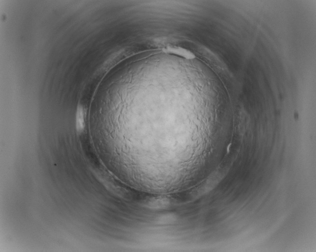 X0000081300075200701251728