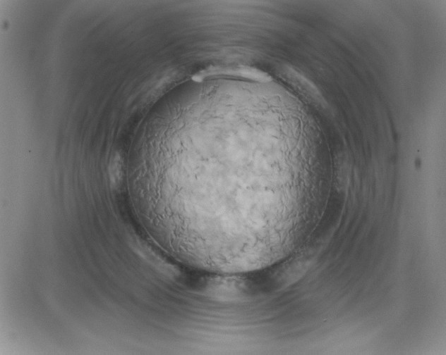 X0000081300077200701251728