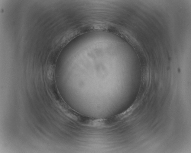 X0000081300078200701251728