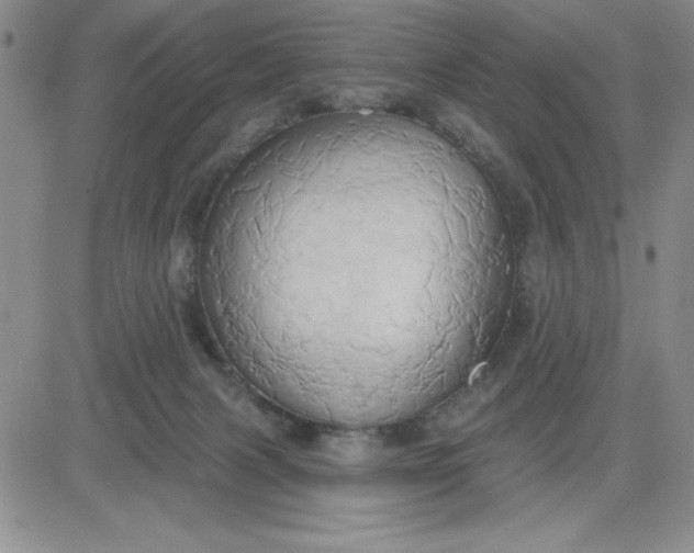 X0000081300079200701251728