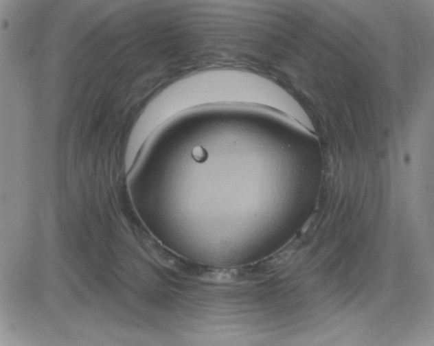 X0000081300080200701251728