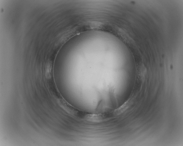 X0000081300082200701251728