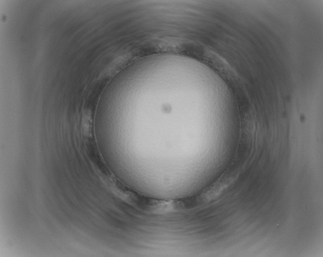 X0000081300083200701251728