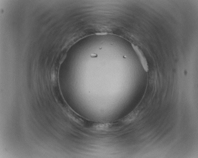 X0000081300084200701251728