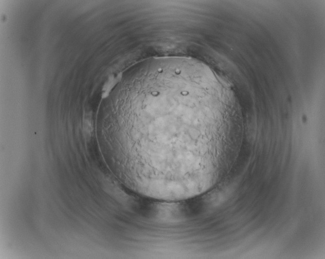 X0000081300085200701251729