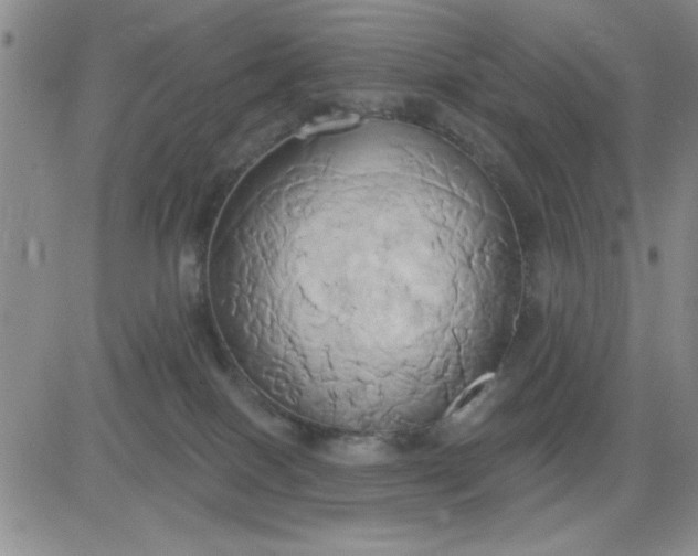 X0000081300086200701251729