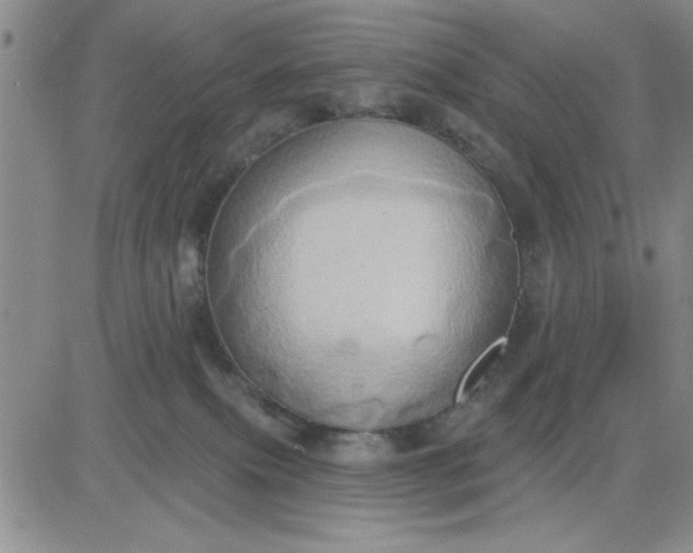 X0000081300087200701251729