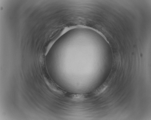 X0000081300088200701251729