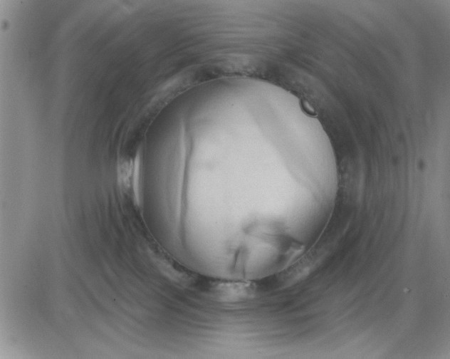 X0000081300089200701251729