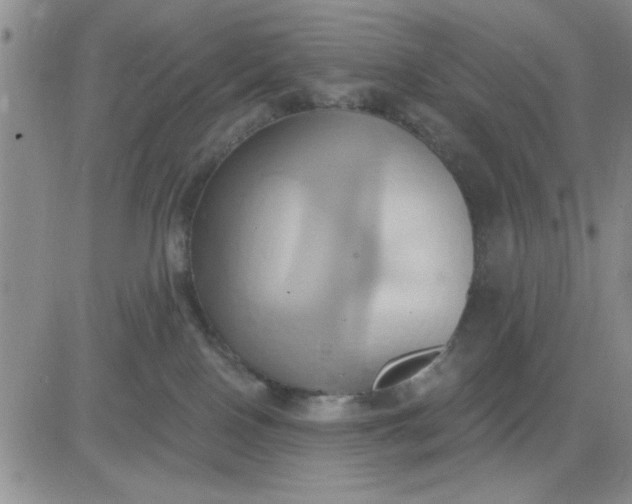 X0000081300090200701251729