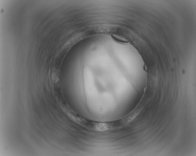 X0000081300091200701251729