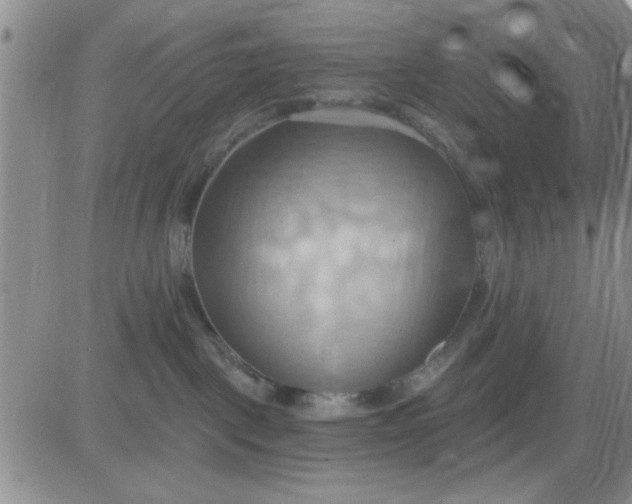 X0000081300093200701251729