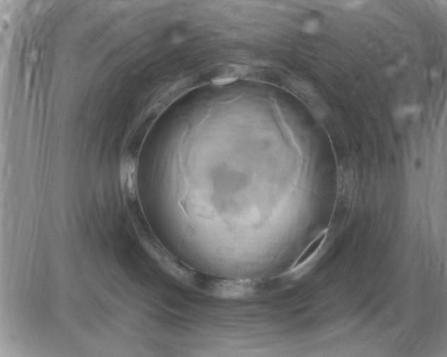 X0000081300094200701251729