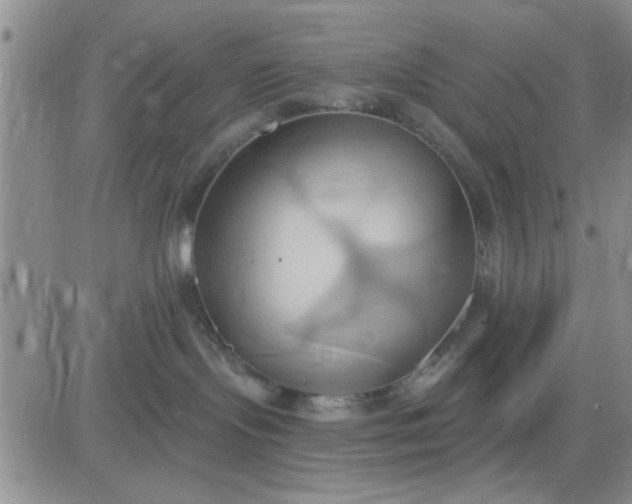 X0000081300095200701251729