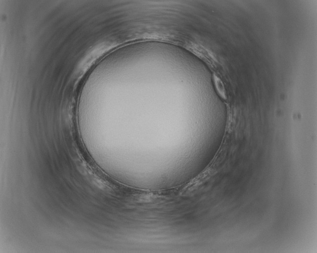 X0000081300098200701251728