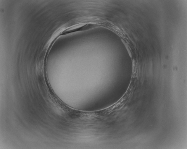 X0000081300099200701251728