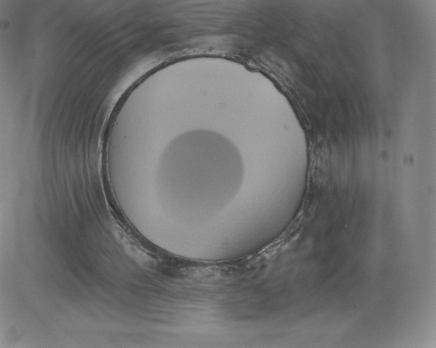 X0000081300100200701251728