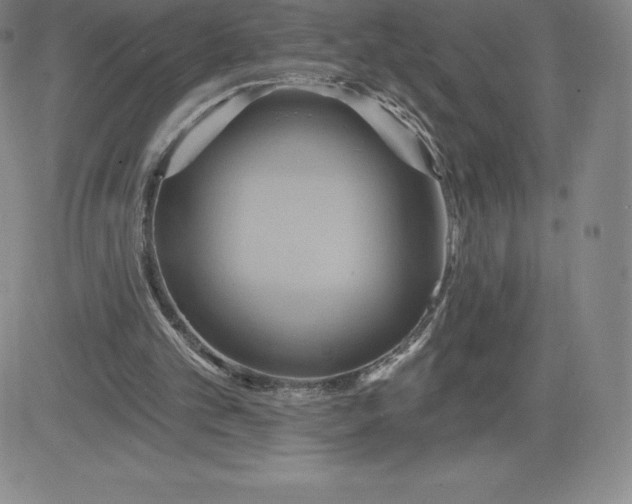 X0000081300101200701251728