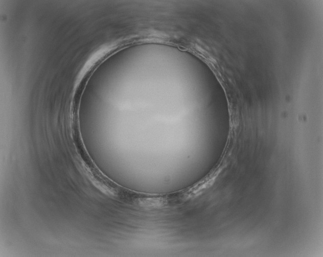 X0000081300102200701251728