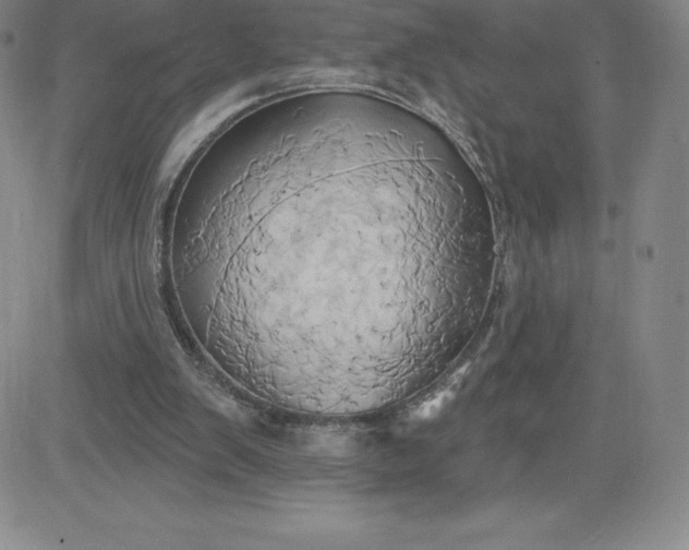 X0000081300103200701251728