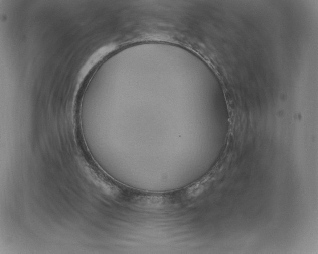 X0000081300104200701251728