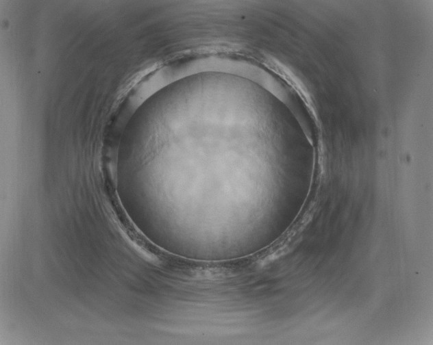 X0000081300105200701251728