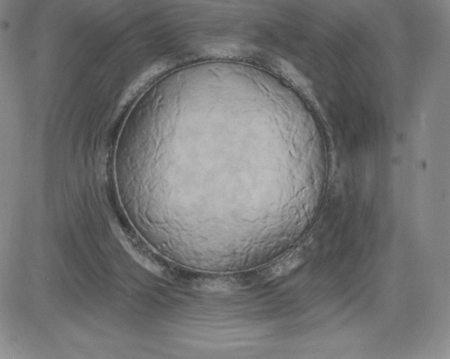 X0000081300106200701251728