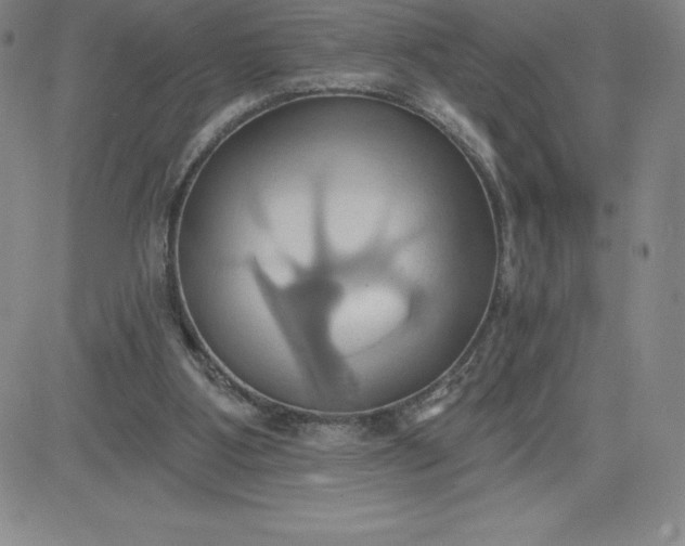 X0000081300107200701251728