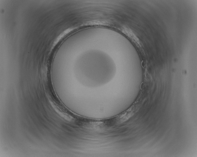 X0000081300108200701251728