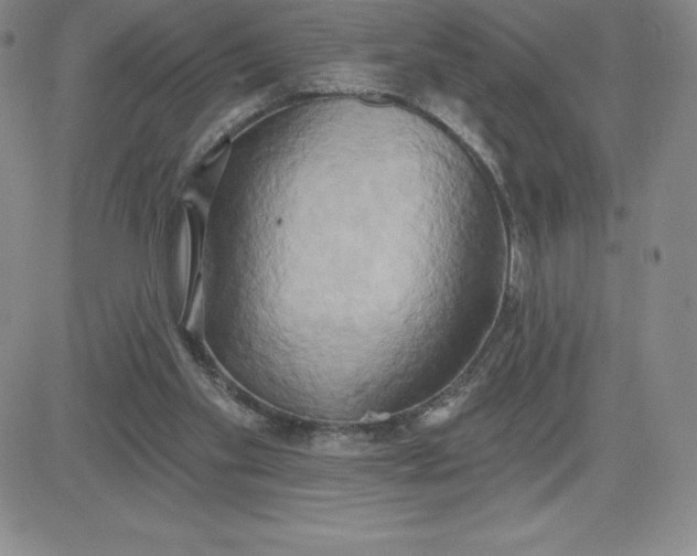 X0000081300109200701251728