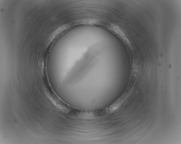 X0000081300110200701251728