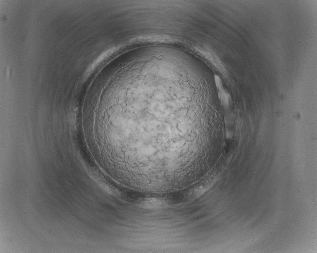 X0000081300111200701251728