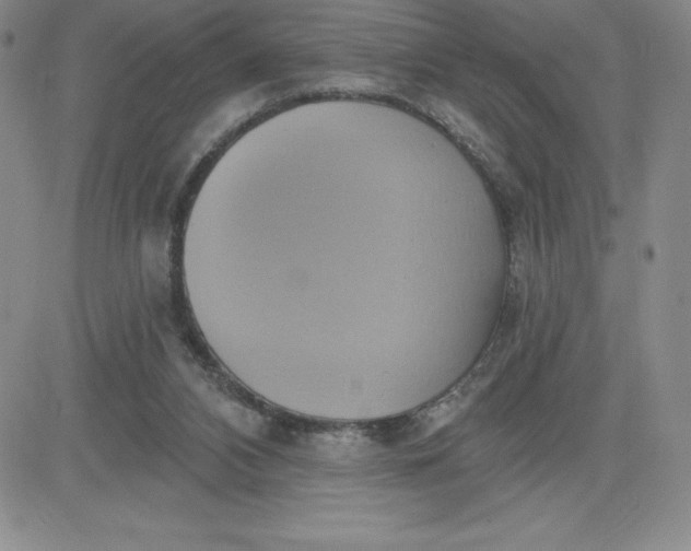 X0000081300112200701251728