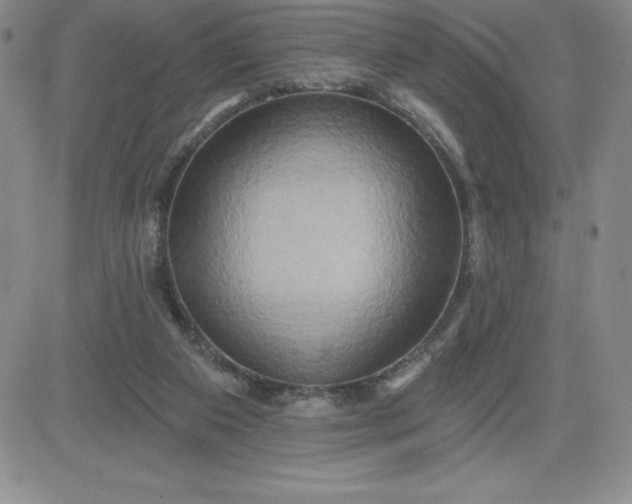 X0000081300113200701251728