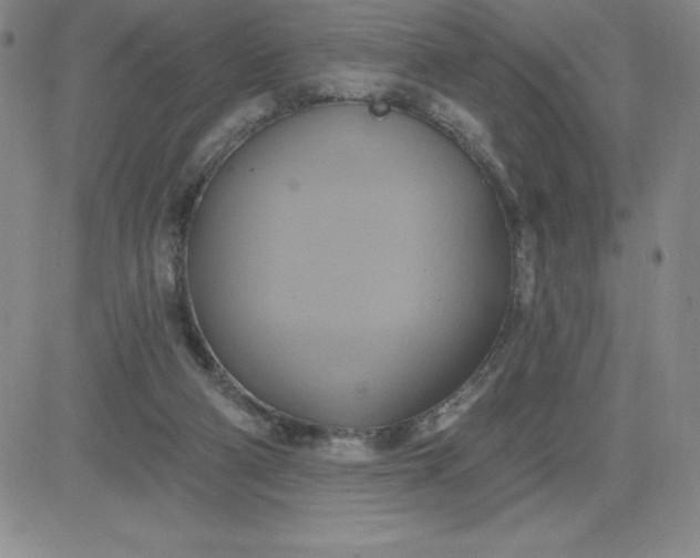 X0000081300114200701251728