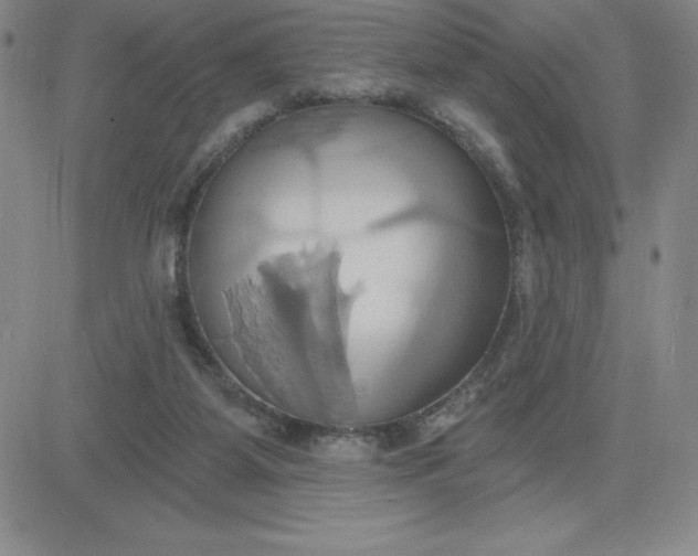 X0000081300115200701251728