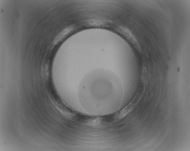 X0000081300116200701251728