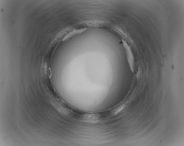 X0000081300117200701251728