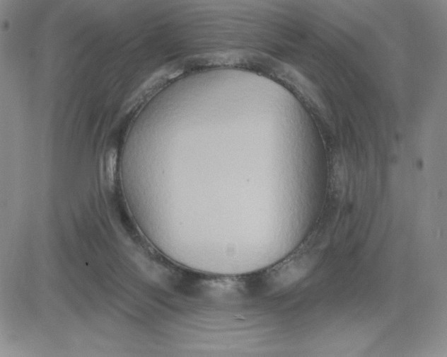 X0000081300118200701251728