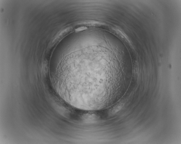 X0000081300119200701251728