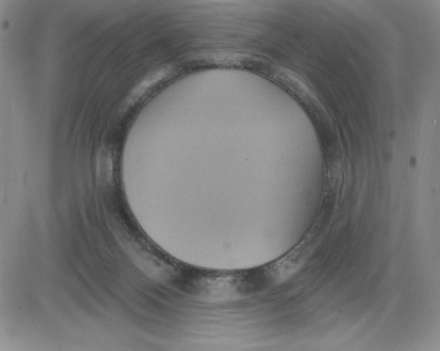 X0000081300120200701251728