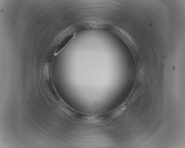 X0000081300121200701251728