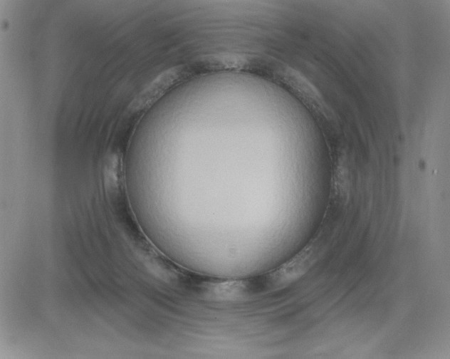 X0000081300122200701251728