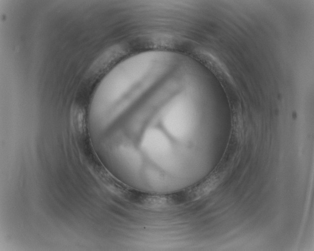 X0000081300123200701251727