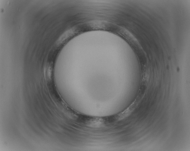 X0000081300124200701251727