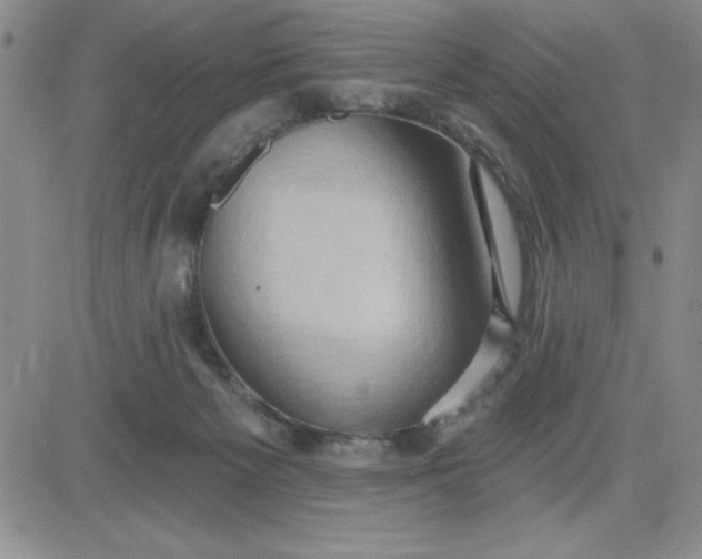 X0000081300125200701251727