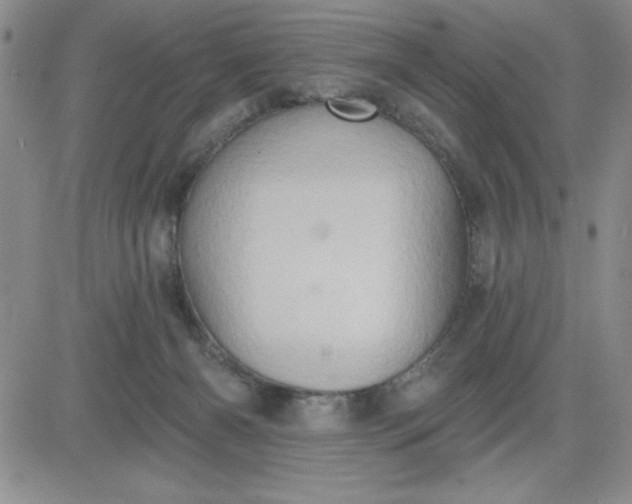 X0000081300126200701251727