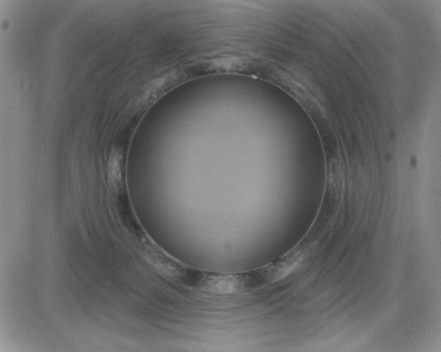 X0000081300127200701251727