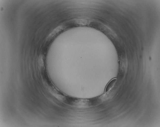 X0000081300128200701251727